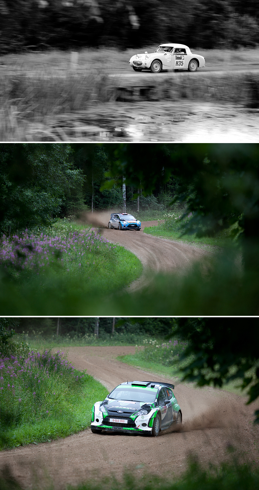 Ralli Estonia 2012